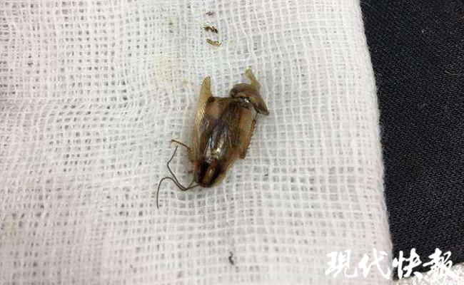 娱乐生活 第70页