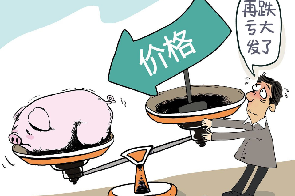 地方新闻 第53页