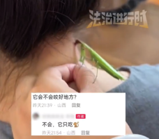 游戏专题 第38页